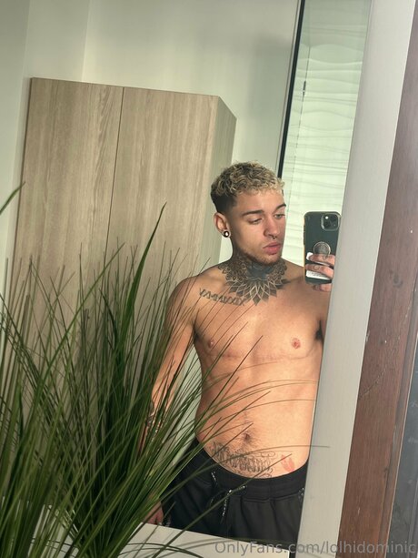 Ftmonlytrans nudes star gallery