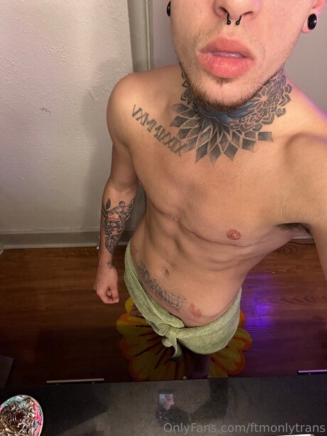 Ftmonlytrans model free gallery