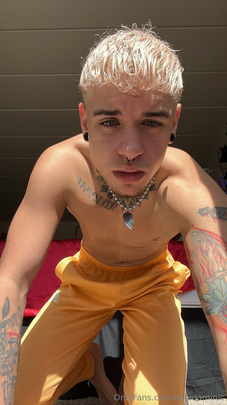 Ftmonlytrans star pornographic picture