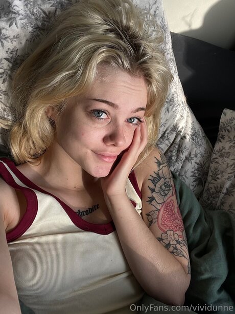 Vividunne estrella libre fotos