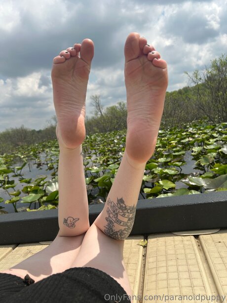 Paranoidpuppy sexo estrella porno recopilación