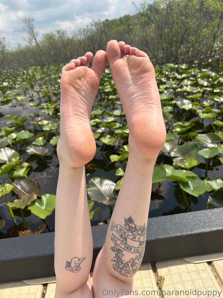 Paranoidpuppy star du porno xxx galeries