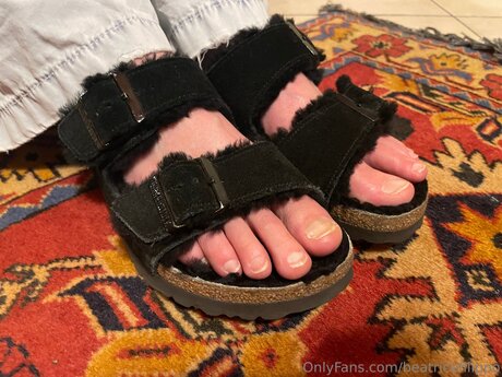 Beatricefilippo estrella porno bonita recopilación