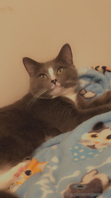 Littleleah413 modèle exclusif archive