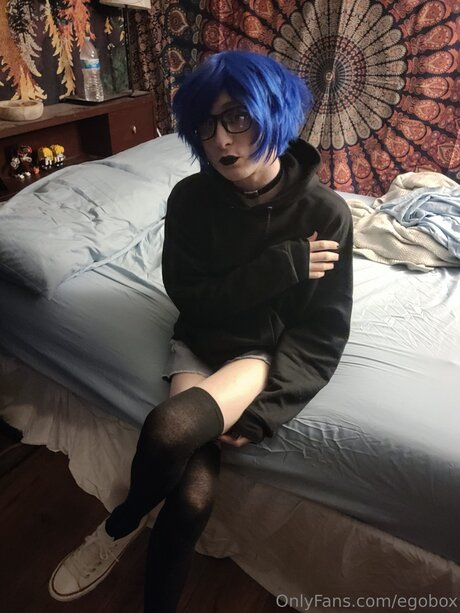 Egobox nus de stars du porno collection