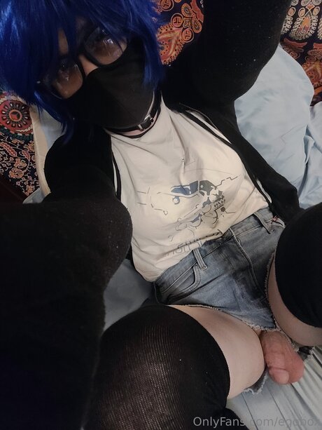 Egobox modelo libre galería