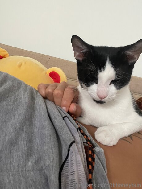 Tkhoneybun actriz libre galerías