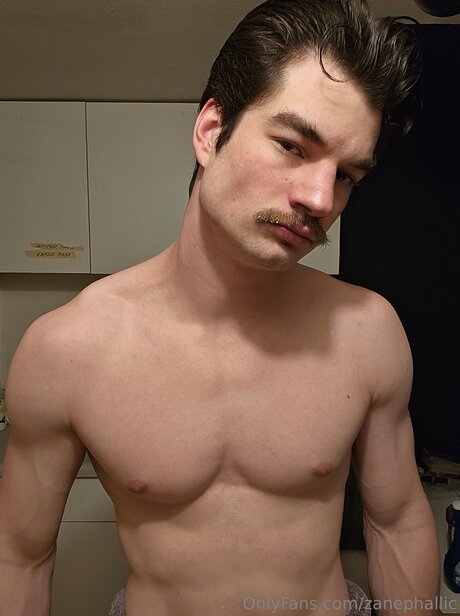 Zanephallic Image de profil