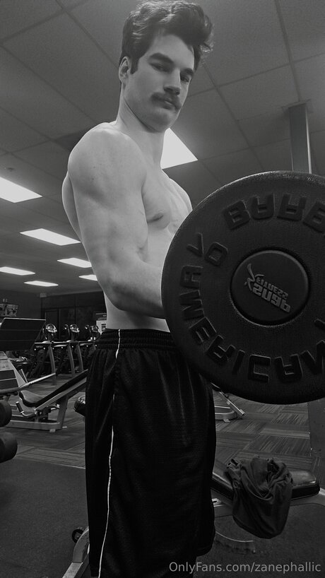 Zanephallic desnudos estrella porno galerías