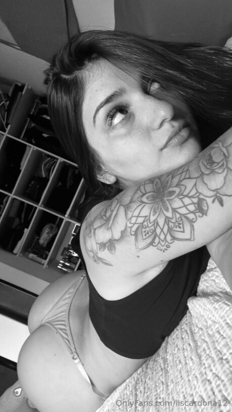 Liscardona12 étoile de haute qualité galeries