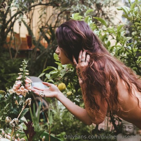 Divinemusemel model pornographic archive