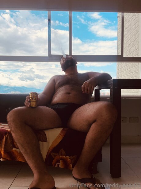 Teddy Bear05 modèle de haute qualité image