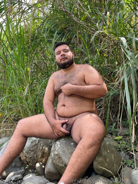 Teddy Bear05 Imagen de perfil