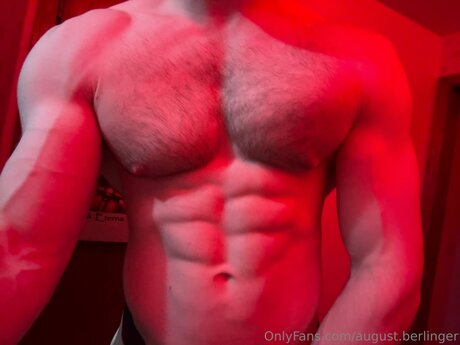 August Berlinger bonita estrella galería