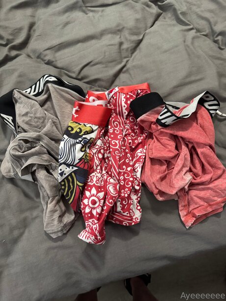 Davidgames estrella hermosa fotos