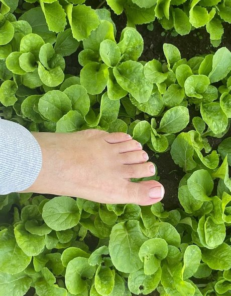 sunnymei estrella adulta recopilación