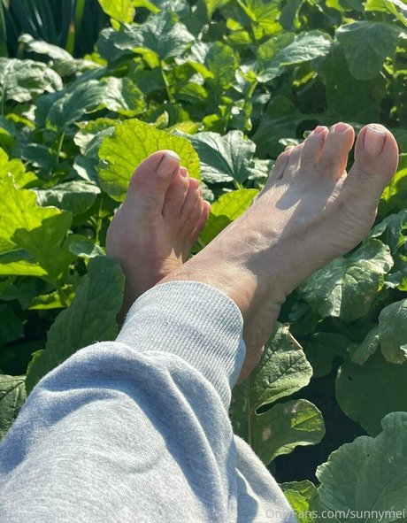 sunnymei xxx star du porno galeries