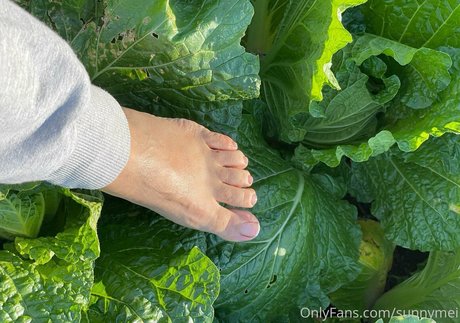 sunnymei star du porno parfaite galerie