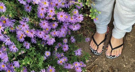 sunnymei actrice pornographique img