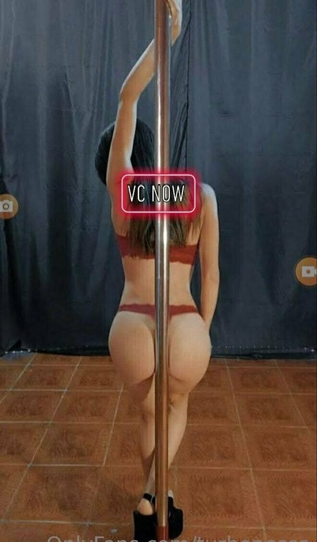 turbonessa étoile chaude collection