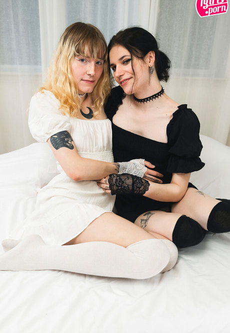 Willow Astilbe estrella foto