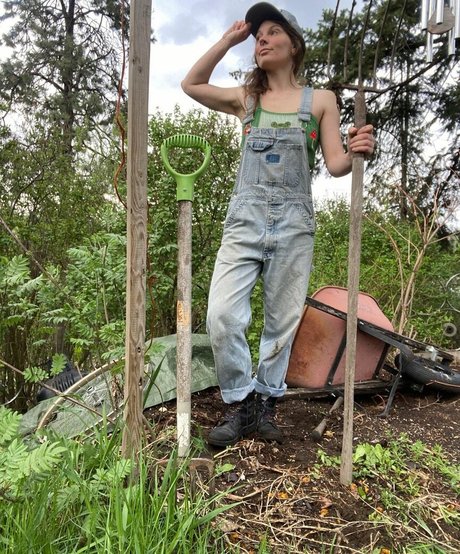 KyoshiPanties estrella fotos