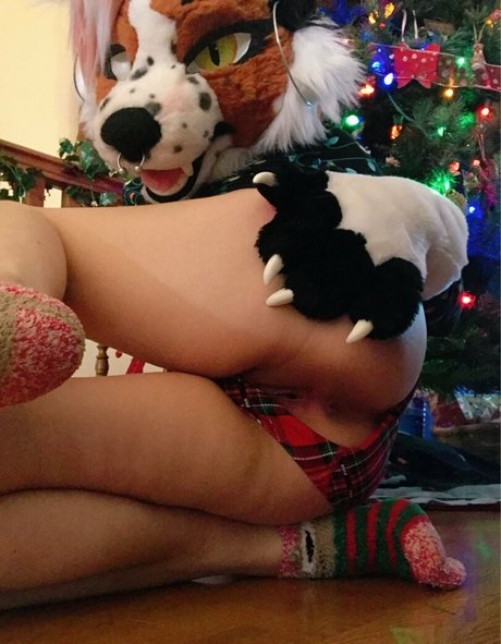 fox anatomy estrella porno hd archivo