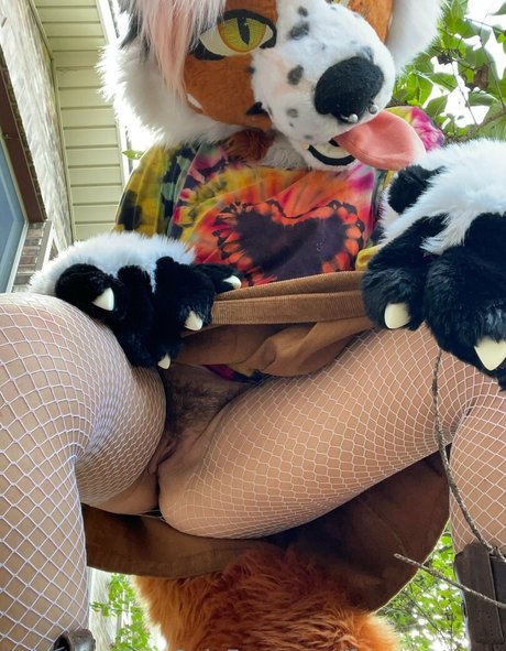 fox anatomy desnudos estrella foto