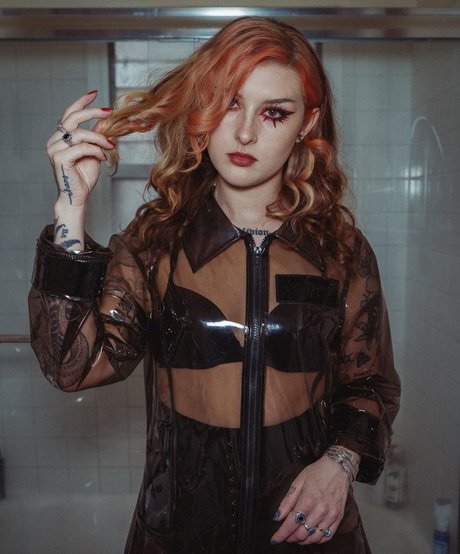 Mothica estrella agradable imágenes