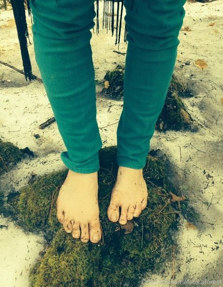 EroicaForest modèle de haute qualité galeries