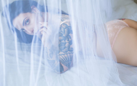 sgitaly bonita estrella imagen