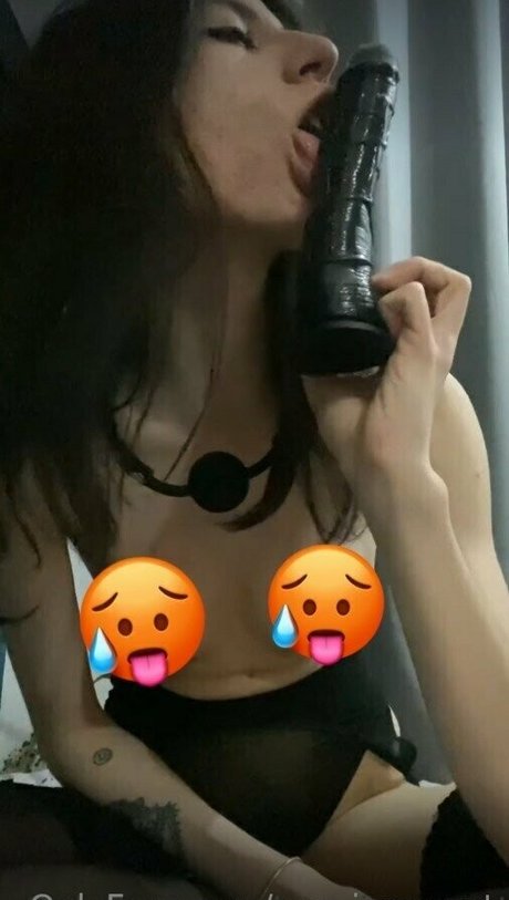 eva innocent actrice adulte archive