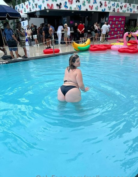 mollynonsense étoile parfaite collection