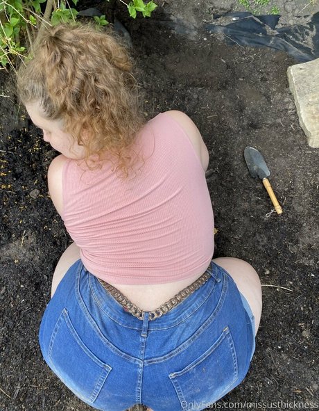 mollynonsense estrella bonita imagen