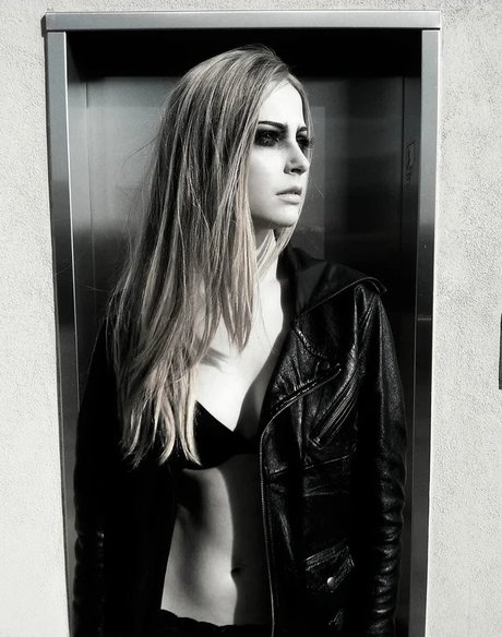 Stevie Wynne Levine pornstar photo