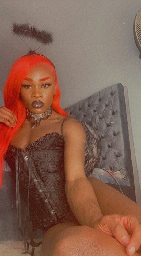 Milan Dior modelo recopilación