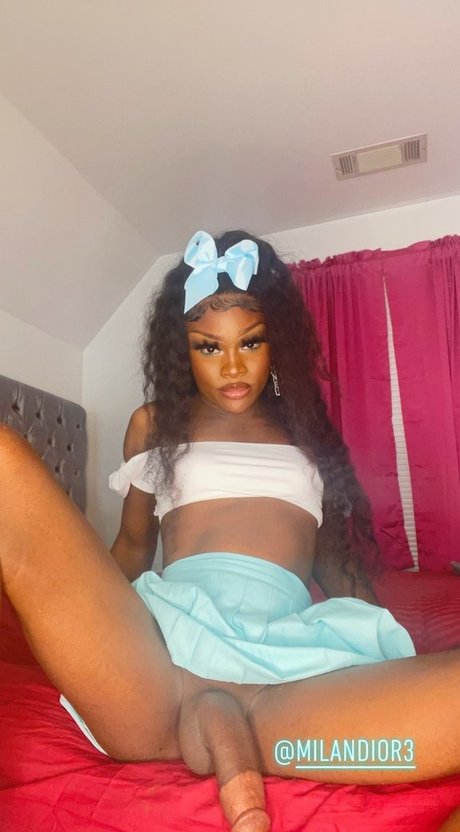 Milan Dior joli modèle image