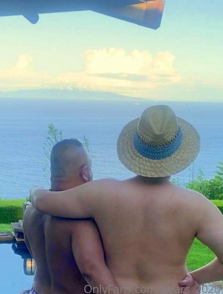 bears 2020 modèle gratuit archive