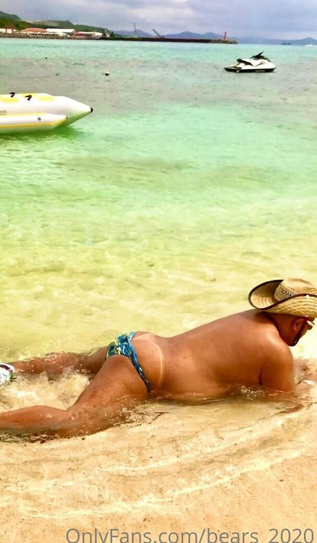 bears 2020 hermosa modelo galerías