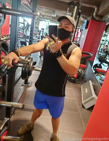 largedogcollar estrella porno sexy fotos