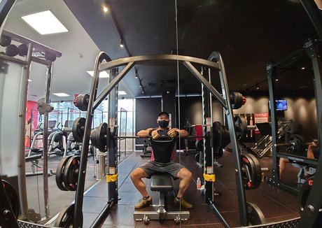 largedogcollar modèle exclusif archive