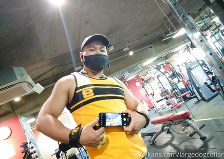 largedogcollar modelo galería