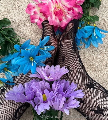 Goddessalexarayne pornstar image