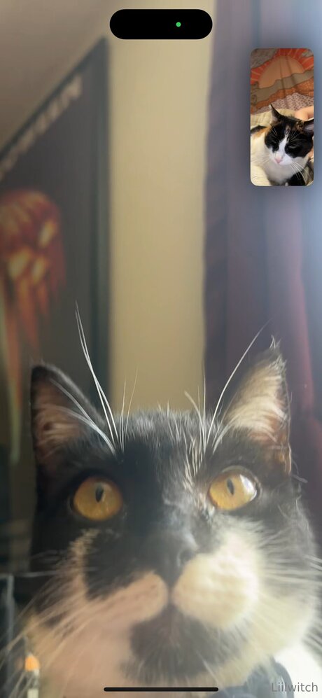 Liilwitch actriz desnuda imagen