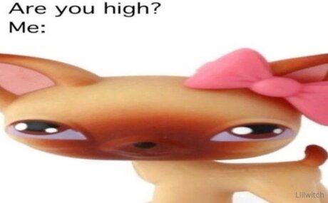 Liilwitch modèle de sexe des photos