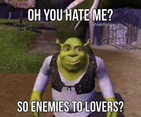 Liilwitch étoile adulte img