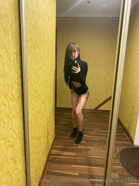 Andreasilvester sex star img