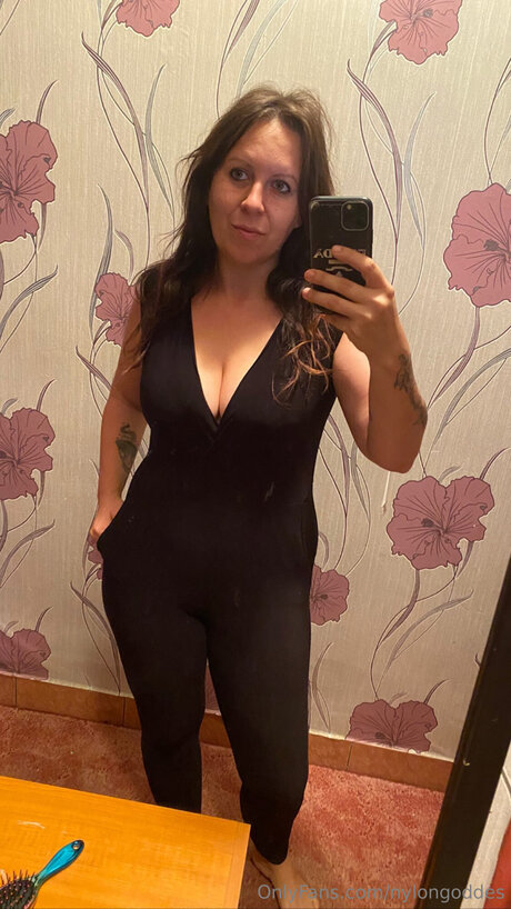 Nylongoddes estrella bonita imagen