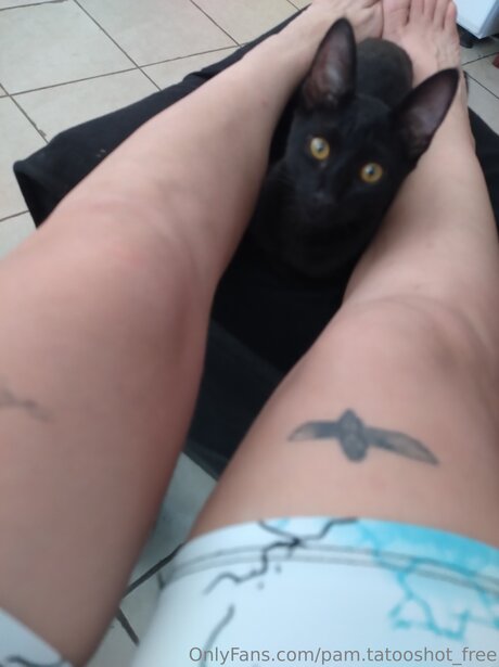 Pam Tatooshot Free buen modelo archivo