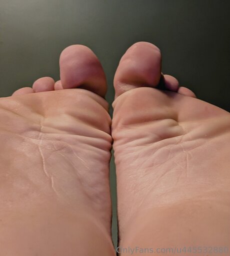 U445532880 estrella agradable archivo